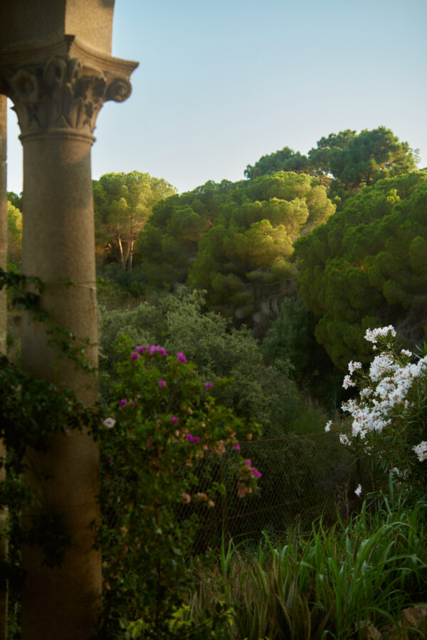 Mediterranean Capsule Experience - Image 7